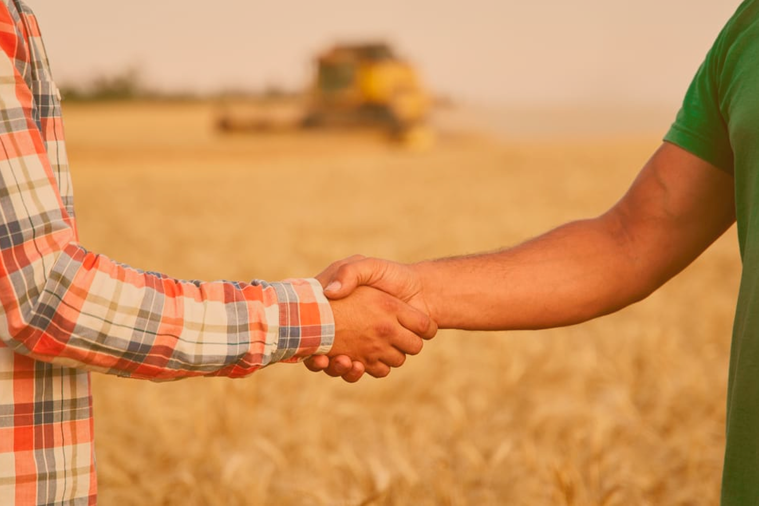 Contrato de arrendamento ou contrato de parceria agrícola? Qual o melhor para o seu negócio?
